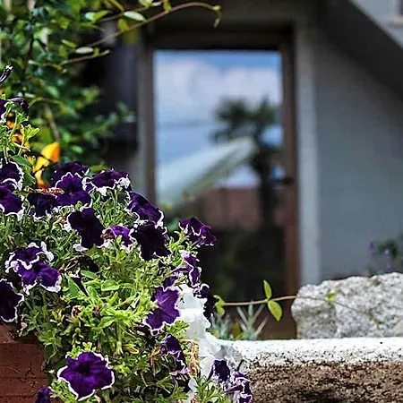 B&B La Corte Di Alzo